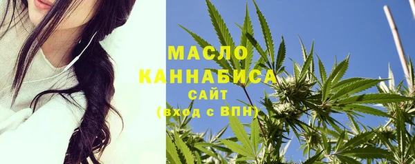 гашик Бородино